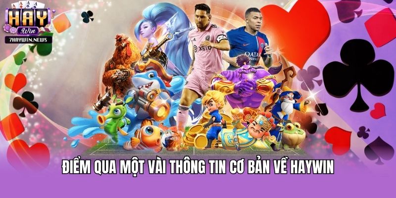 Điểm qua một vài thông tin cơ bản về Haywin