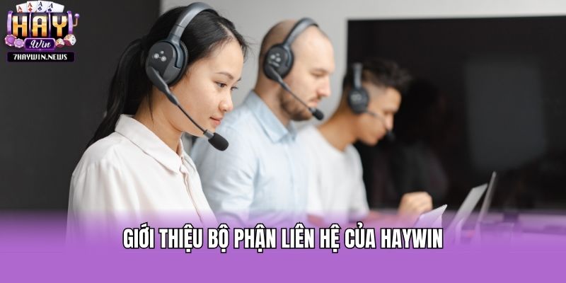 Giới thiệu bộ phận liên hệ của Haywin