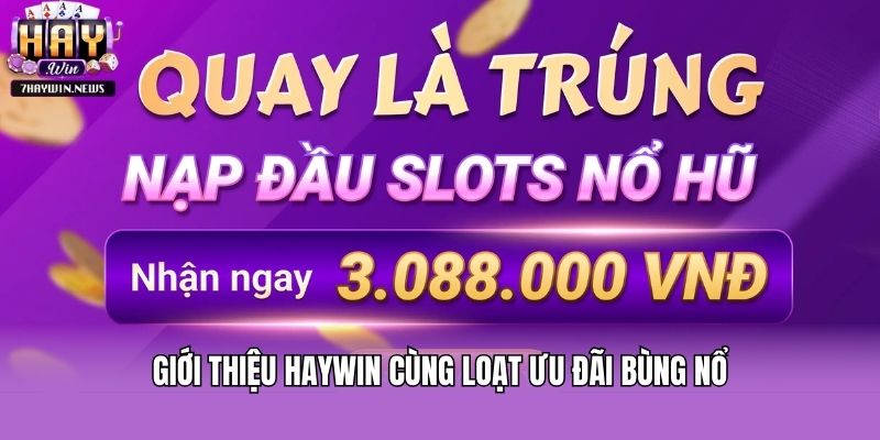 Giới thiệu Haywin cùng loạt ưu đãi bùng nổ