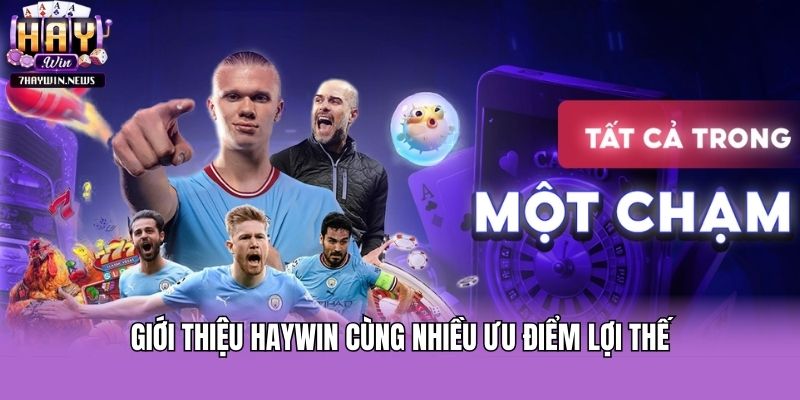 Giới thiệu Haywin cùng nhiều ưu điểm lợi thế