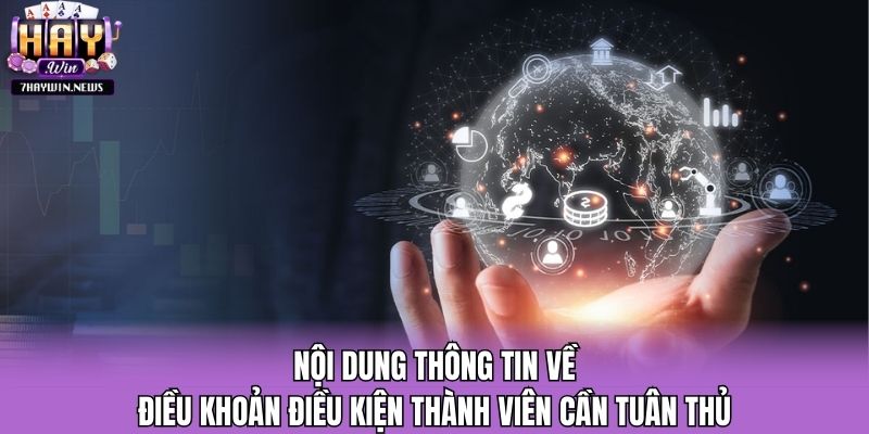Nội dung thông tin về điều khoản điều kiện thành viên cần tuân thủ