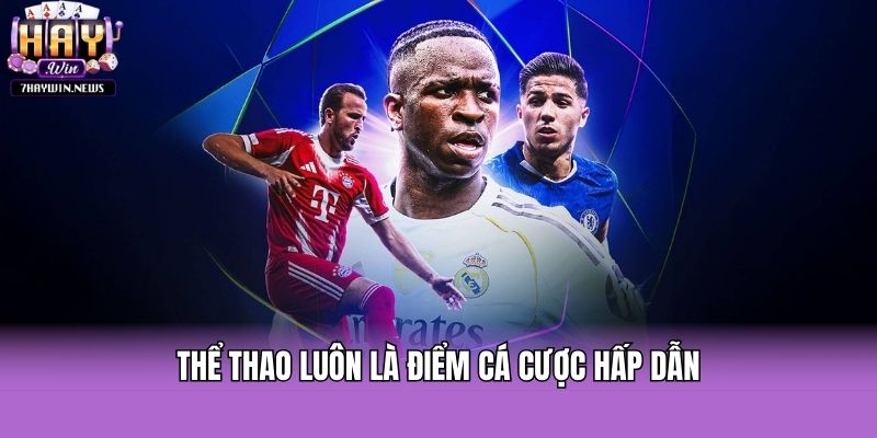 Thể thao luôn là điểm cá cược hấp dẫn