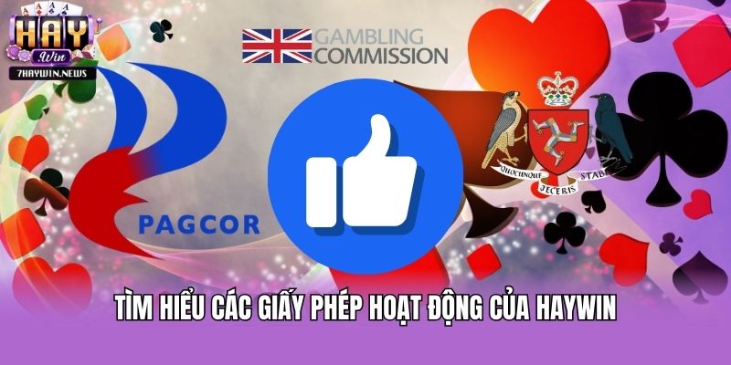 Tìm hiểu các giấy phép hoạt động của Haywin