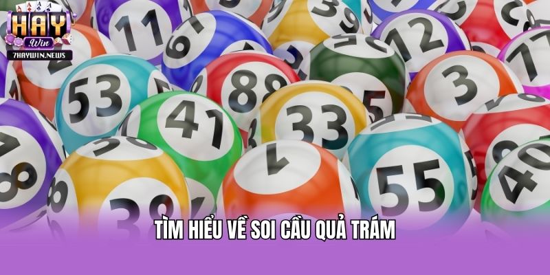 Tìm hiểu về soi cầu quả trám
